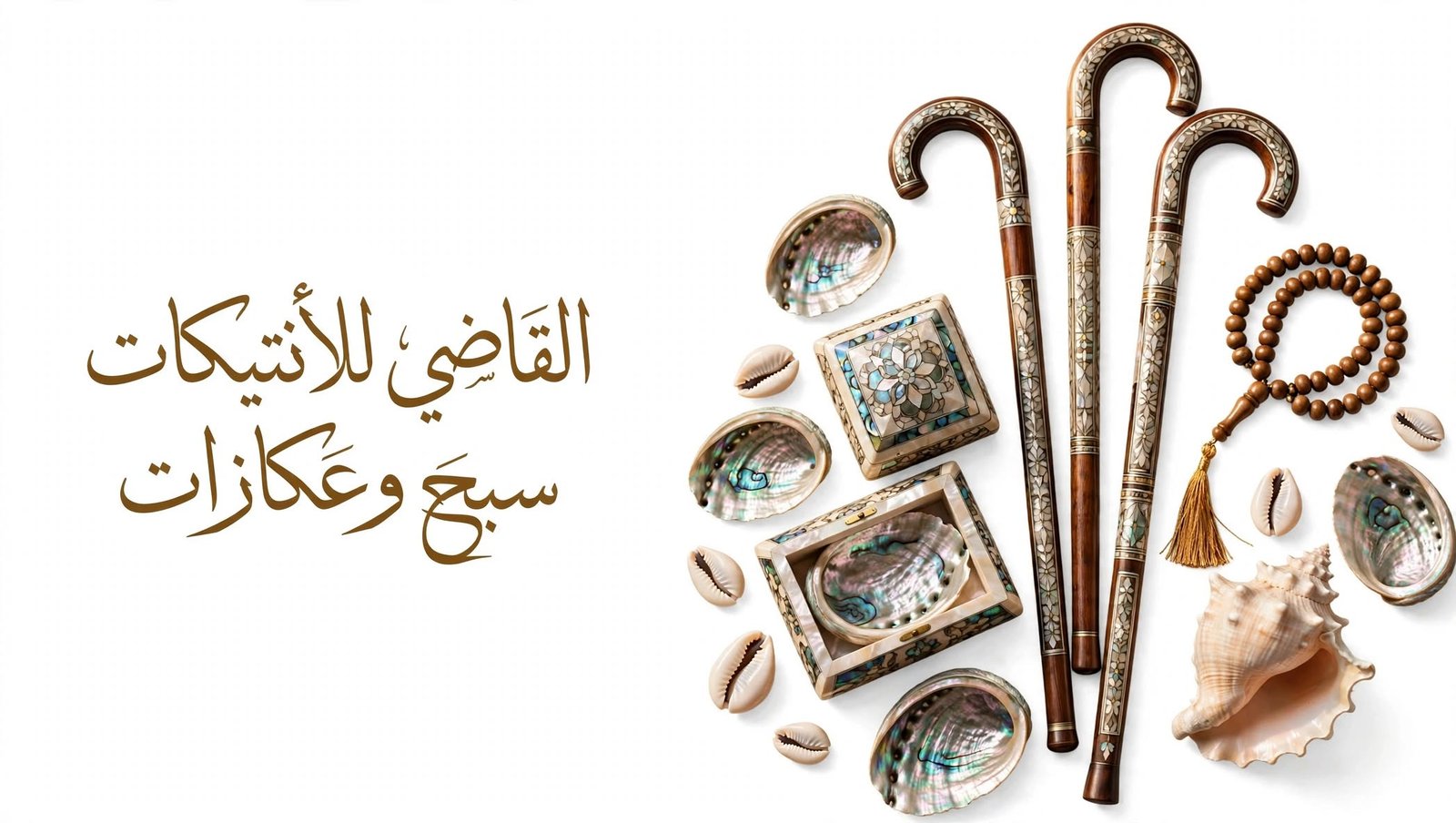 gallery image_20261024_105929-edited